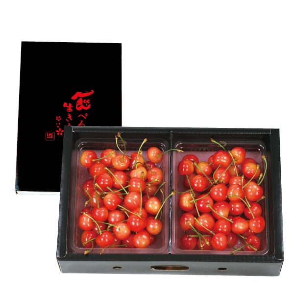 山形県産(寒河江市) アンスリーファームのさくらんぼ、佐藤錦または紅秀峰(秀品 600gバラ)【お届け期間:6月15日〜7月5日】【MK】　商品画像1