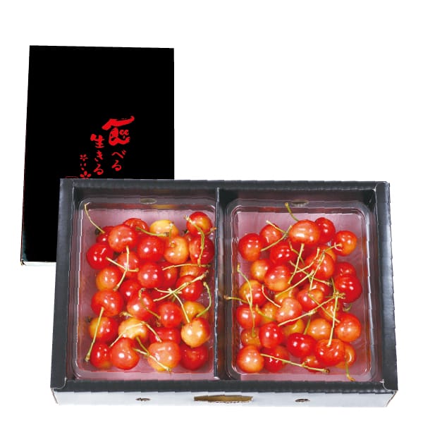山形県産(寒河江市) 芳賀さくらんぼ園の「佐藤錦」または「紅秀峰」(秀品 700gバラ)【お届け期間:6月14日〜7月5日】【MK】　商品画像1