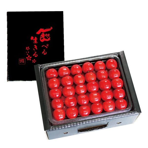 山形県産 さくらんぼ(佐藤錦)(秀品 550g手詰め)【お届け期間:6月18日〜7月3日】【MK】　商品画像1