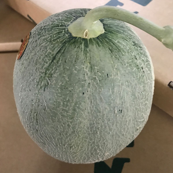 北海道夕張市産 JA夕張市 夕張メロン 大箱 3〜6個 ご自宅用【限定500点】【お届け期間:6月11日〜8月15日】【GW】 商品画像1