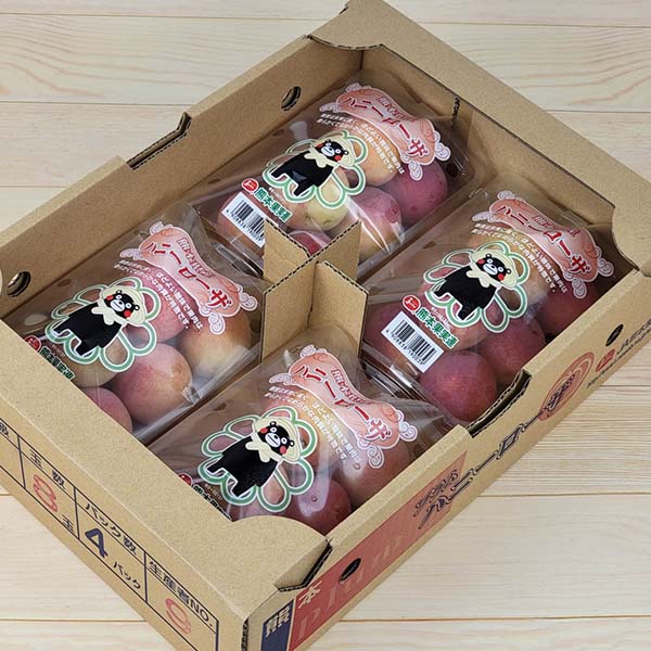 熊本県産すもも ハニーローザ 4パック【限定30点】【お届け期間：5月25日〜6月30日】【GW】　商品画像1