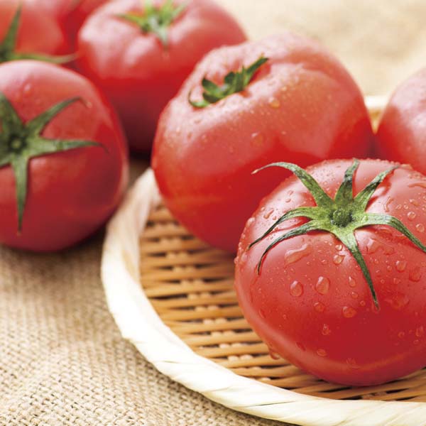 高知県産(高知市) 徳谷トマト 計1.8kg以上【お届け期間:4月21日〜6月10日】【NN】　商品画像1