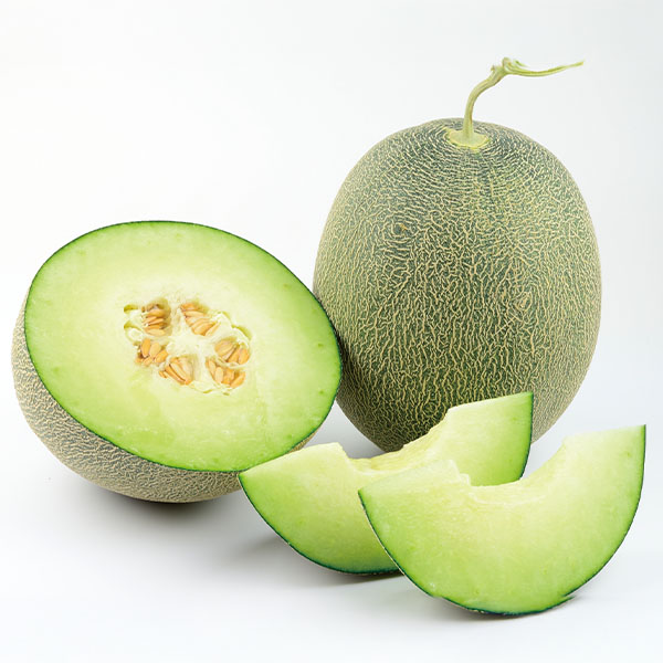 熊本県産永松農園の肥後グリーンメロン計1.8kg(1玉入り)【お届け期間:5月20日〜6月30日】【旬鮮便】【NN】 商品画像1