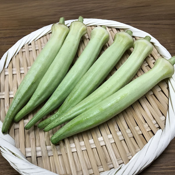 山口県長門市 希少野菜 白オクラ 500g(5袋)【お届け期間：7月22日〜9月25日】【フードアルチザン】　商品画像1