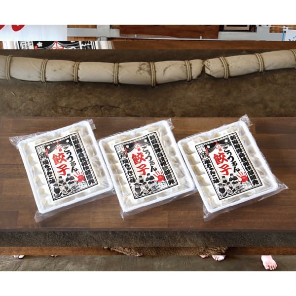 新潟 能水商店 新潟海洋高校相撲部開発 ごっつぁん餃子【夏の贈りもの・お中元】【KN】　商品画像1