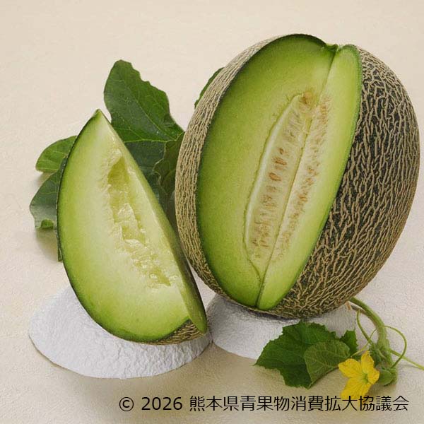 熊本県産 肥後グリーンメロン 2玉【限定50点】【お届け期間：5月25日〜6月21日】【イオンゴールドカード会員さま限定特別セール5月】　商品画像1