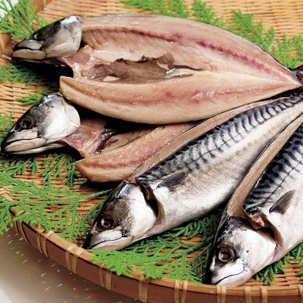 鳥取 やまじゅう やまね 酒津仕立て 塩さば【お届け期間:6月11日〜8月25日】【旬鮮便】【NN】　商品画像1
