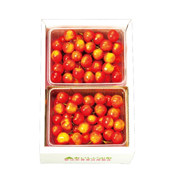 山形県産 さくらんぼ(佐藤錦または紅秀峰)L 500g×2 バラ詰め【限定50点】【お届け期間:6月1日〜7月20日】【KN】　商品画像1