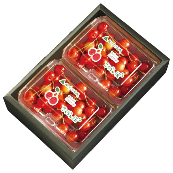 山形県産 さくらんぼ(佐藤錦または紅秀峰)180g×2【限定50点】【お届け期間:6月1日〜7月20日】【KN】　商品画像1