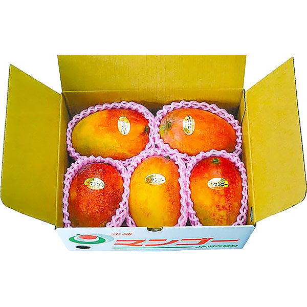 沖縄県産(JAおきなわ) マンゴー 1.5kg ご自宅用 C規格 4〜6玉【限定200点】【お届け期間：7月11日〜7月31日】【従業員感謝WEEK】　商品画像1