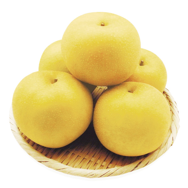 鳥取県産 新甘泉梨 赤秀 3kg【限定200点】【お届け期間:8月20日〜9月25日】【おいしいお取り寄せ】 商品画像1