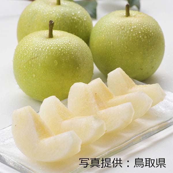 鳥取県産 砂口さんの二十世紀梨 赤秀 3kg【限定50点】【お届け期間：8月20日〜9月25日】【おいしいお取り寄せ】　商品画像1