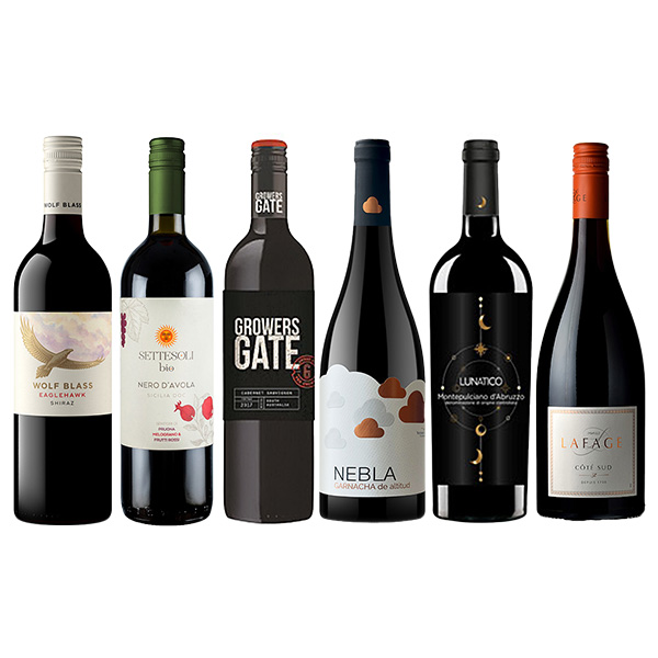 世界の実力派赤ワイン 厳選6本飲み比べセット【おいしいお取り寄せ】　商品画像1