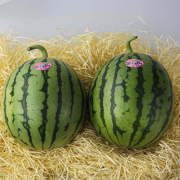 熊本県産 小玉すいか ひとりじめ 2Lサイズ 2玉 【お届け期間：6月25日〜7月31日】【イオンゴールドカード会員さま限定特別セール6月】　商品画像1
