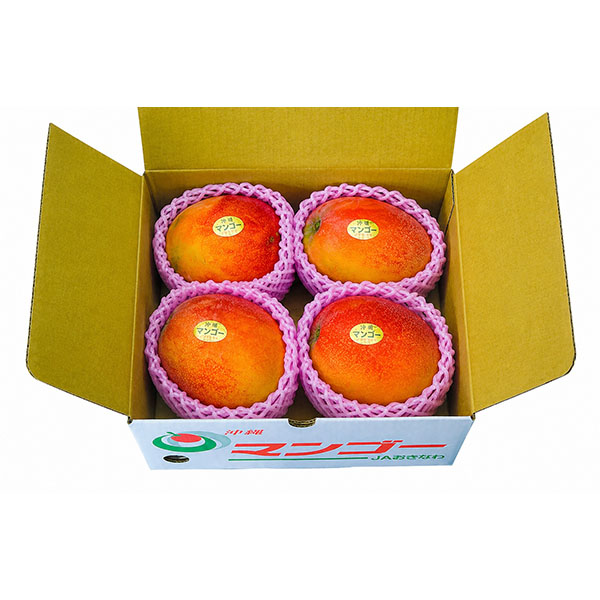 沖縄県産(JAおきなわ) マンゴー 1.5kg ご自宅用 C規格 3〜4玉【限定50点】【お届け期間：7月21日〜7月31日】【イオンゴールドカード会員さま限定特別セール6月】　商品画像1