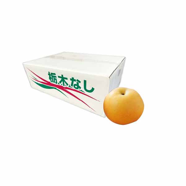 栃木県産 JAうつのみや にっこり梨(10kg・18玉〜16玉)【お届け期間:10月1日〜11月1日】【KN】　商品画像1