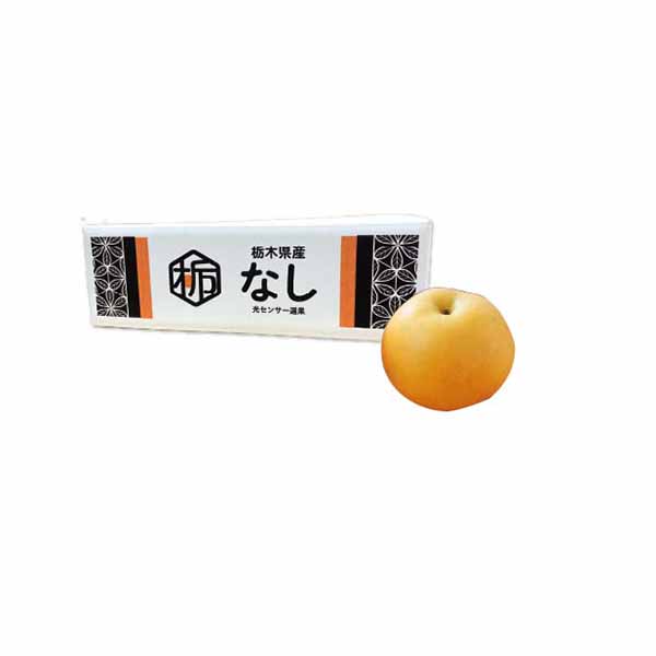 栃木県産 JA全農とちぎ青果物広域集出荷センター 豊水梨(5L・5kg・10玉)【限定:30点】【お届け期間:8月30日〜9月20日】【KN】　商品画像1