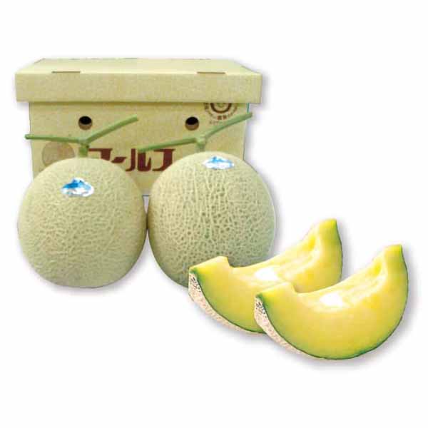 茨城県産 JA常総ひかり アールスメロン(1箱(2玉入り))【限定:100点】【お届け期間:9月10日〜9月25日】【KN】　商品画像1