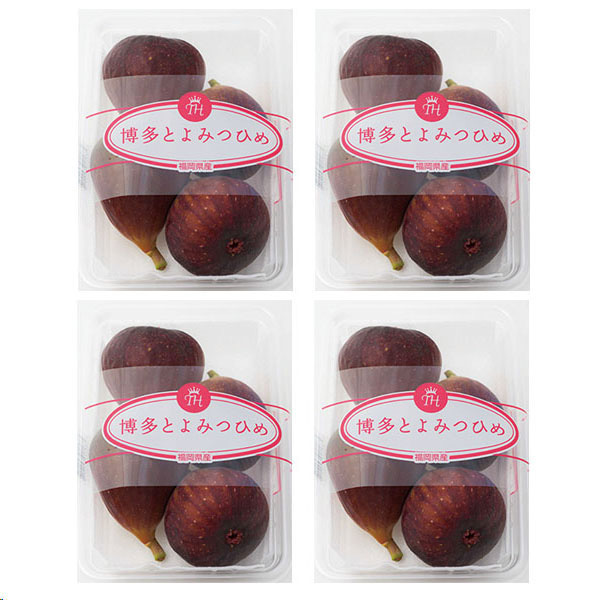 福岡県産 いちじく 博多とよみつひめ 270g×4パック【お届け期間：8月7日〜8月14日】【お盆ごちそう特集】　商品画像1