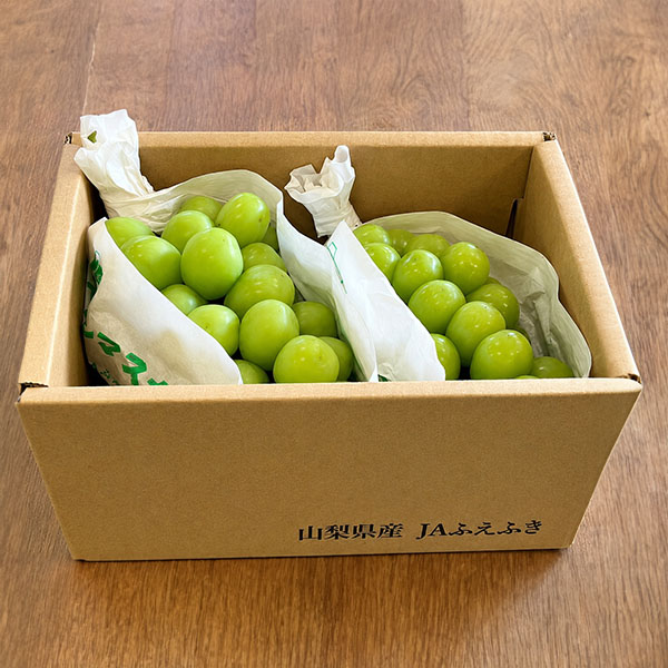 山梨県産(JAふえふき一宮) シャインマスカット ご自宅用  わけあり 2房 計1.1kg【お届け期間：9月1日〜9月25日】【Ａセレクション8月】　商品画像1