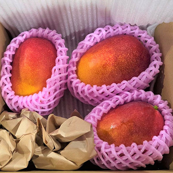 �{�茧�Y �}���S�[ ������p 1kg�y���͂����ԁF8��1���`8��31���z�y���I�i�c�čՂ�z �ʕ��E��؁y�G�߂̑��蕨�����J���M�t�g�z