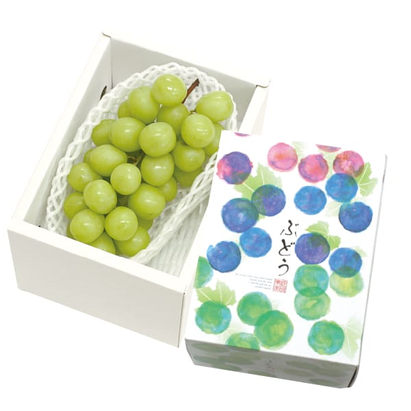 福島県(JAふくしま未来) シャインマスカット1房 秀品・550g以上 【お届け期間:8/15(土)〜9/10(木)】【MK】　商品画像1