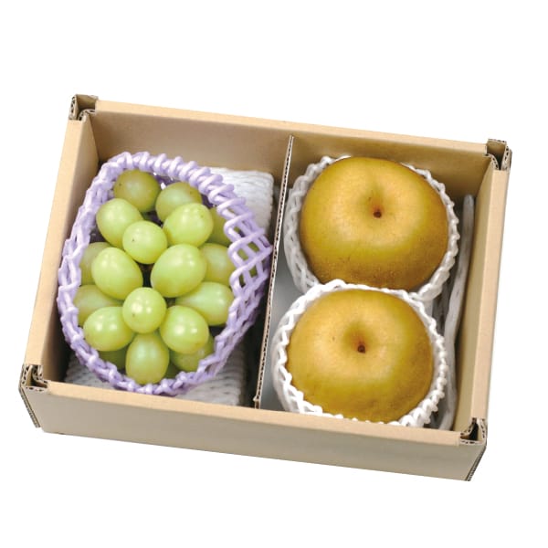 福島県産 シャインマスカットと梨詰合せ 【お届け期間:9/10(木)〜9/30(水)】【MK】　商品画像1