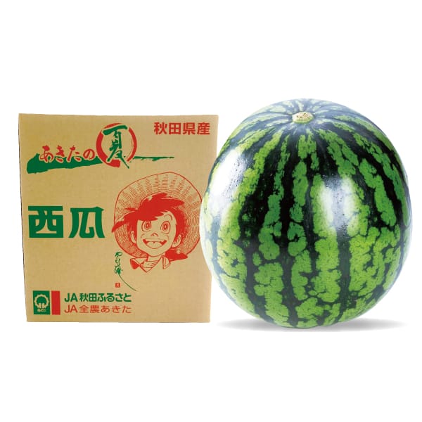 秋田県産 大玉西瓜(あきた夏丸) 5L以上 1玉 10kg以上 【お届け期間:8/1(土)〜8/15(土)】【MK】　商品画像1