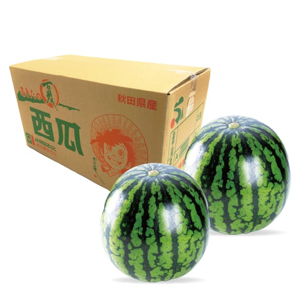 秋田県産 大玉西瓜(あきた夏丸) 2L2玉14kg 【お届け期間:8/1(土)〜8/15(土)】【MK】　商品画像1