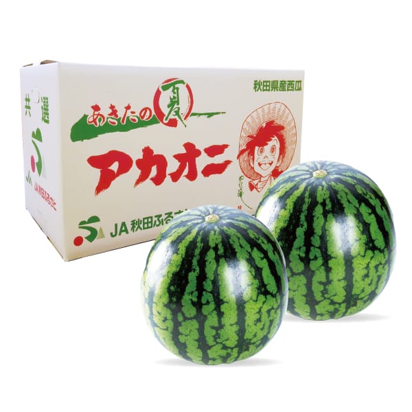 秋田県産 大玉西瓜 アカオニ 2L2玉14kg 【お届け期間:8/1(土)〜8/15(土)】【MK】　商品画像1