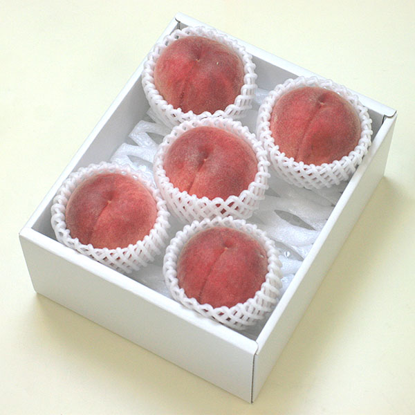 長野県産 田中さん達の白桃 秀品 1.5kg【お届け期間：8月15日〜9月30日】【サマーセール】　商品画像1