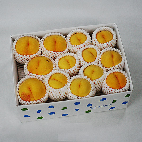 山形県産 黄桃 ご自宅用 3kg【限定100点】【お届け期間：9月5日〜9月30日】【サマーセール】　商品画像1