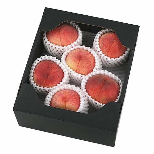 山形県産 美晴白桃 1.5kg【限定100点】【お届け期間：9月3日〜9月20日】【サマーセール】　商品画像1