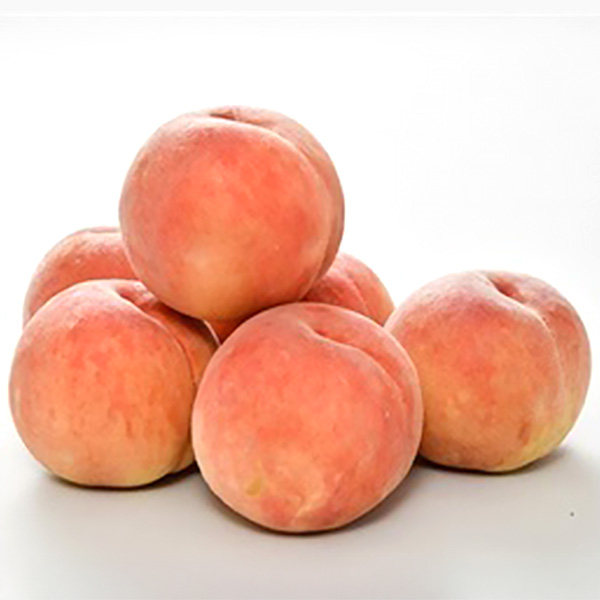 長野県産(JA中野市)信州中野 もも 陽だまり(R)桃 糖度保証13度以上 2.5kg 7〜9玉【お届け期間：8月18日〜9月13日】【サマーセール】　商品画像1