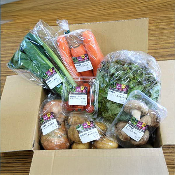 イオン農場 オーガニック野菜詰め合わせセットB 7品【お届け期間:8月10