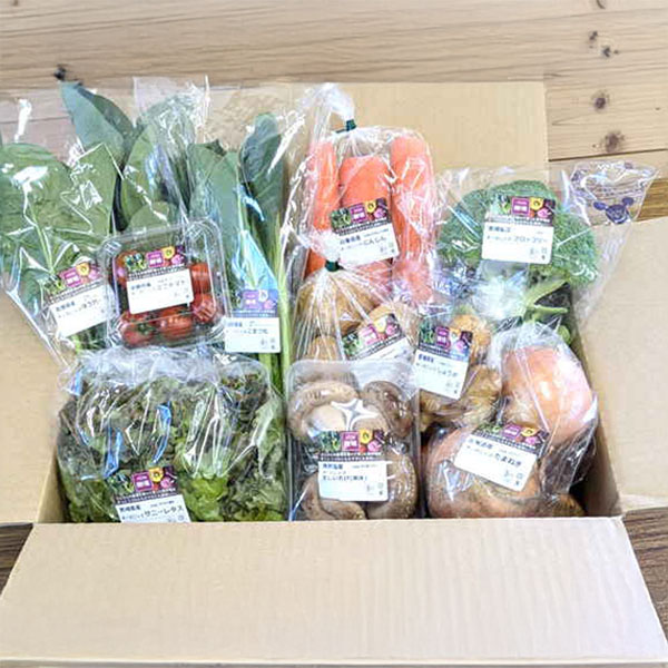 イオン農場 オーガニック野菜詰め合わせセットC 10品【お届け期間:8月