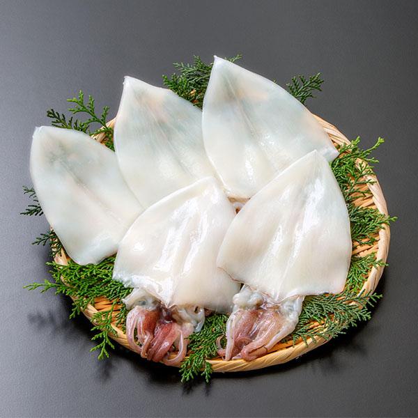 島根 和田珍味 白いか一夜干 5枚【NN】　商品画像1