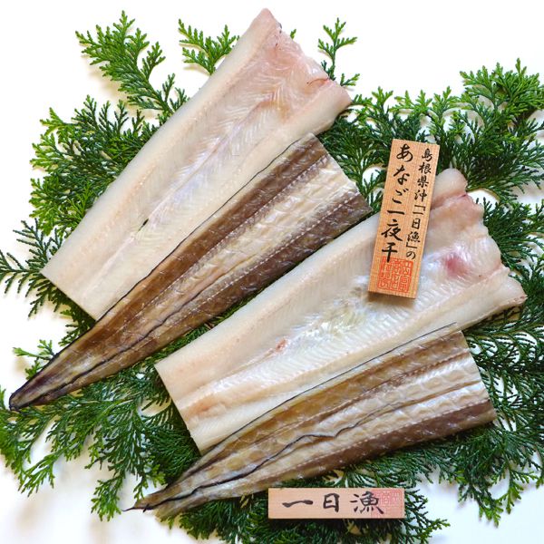 島根 岡富商店 「一日漁」特大穴子一夜干 あなご2尾(計500g)【NN】　商品画像1