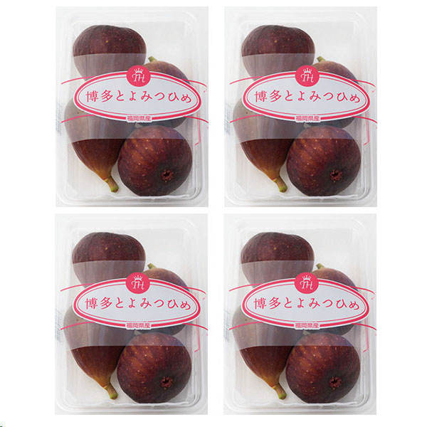 福岡県産 いちじく 博多とよみつひめ 270g×4パック【お届け期間：9月1日〜9月10日】【お買い得セール8月】　商品画像1