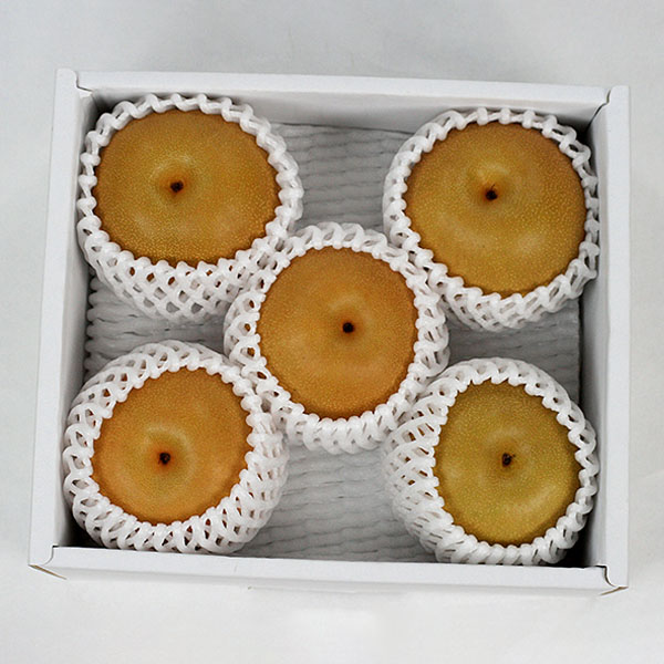 山形県産 梨 1.5kg ご自宅用【お届け期間：9月1日〜9月30日】【お買い得セール8月】　商品画像1