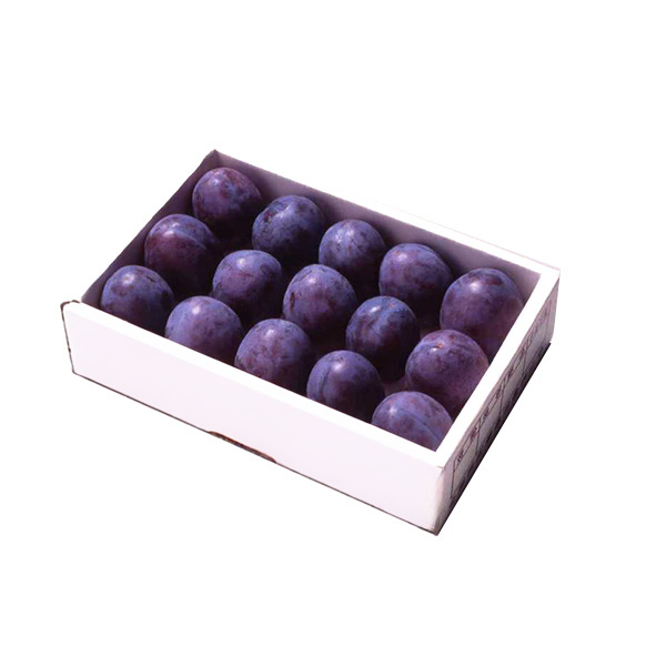 山形県産 プルーン プレジデント 1.5kg 【限定50点】【お届け期間：9月10日〜10月10日】【お買い得セール8月】　商品画像1