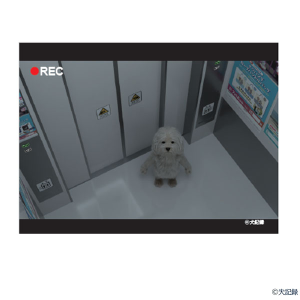 犬記録 スクエアシール ＜防犯カメラ廃棄映像＞(R8431)【雑貨】　商品画像1