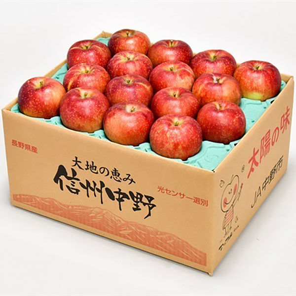 長野県産(JA中野市) りんご 秋映 わけあり 10kg(36〜40玉)【お届け期間：10月5日〜10月31日】【秋のうまいもの市】　商品画像1
