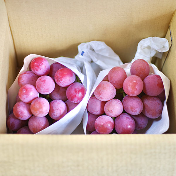 長野県産 ぶどう クイーンニーナ 秀品 2房 計1kg【限定50点】【お届け期間：9月28日〜10月31日】【秋のうまいもの市】　商品画像1