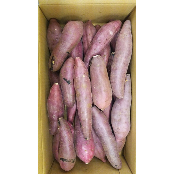 鹿児島県産 さつまいも 紅はるか 2.5kg 2L〜Mサイズ【お届け期間：10月26日〜11月30日】【秋のうまいもの市】【おいしいお取り寄せ】　商品画像1