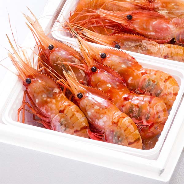 ロシア産 ぼたん海老 大サイズ【お届け期間：12月26日〜12月30日】【年末年始ごちそう特集】　商品画像1
