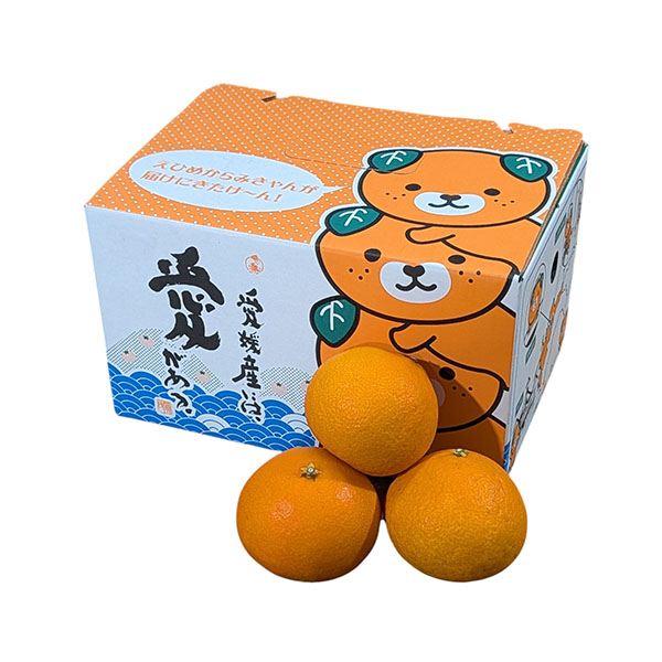 愛媛県産 あいか 2.8kg 4L〜Mサイズ【お届け期間：12月1日〜12月28日】【従業員感謝WEEK】　商品画像1