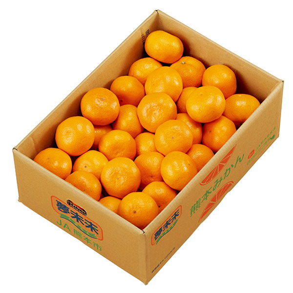 熊本県産 夢未来みかん  4kg【お届け期間：12月1日〜12月29日】【従業員感謝WEEK】　商品画像1