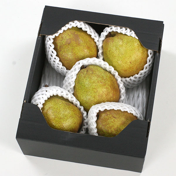 山形県産 洋なし ラ・フランス ご自宅用 1.5kg【限定100点】【お届け期間:10月25日〜11月20日】【お買い得セール9月】 商品画像1