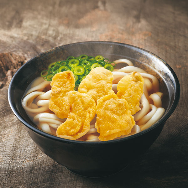 うどん屋さんの博多ごぼう天30g(1〜2人前)×5袋 (L8359)【サクワ】　商品画像1